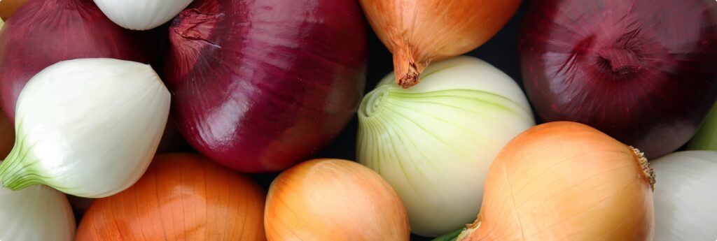 La cipolla: ingrediente più divisivo nei piatti ricercati