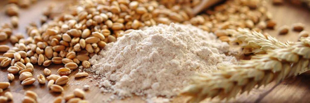 The proteins of flour: THE GLUTEN